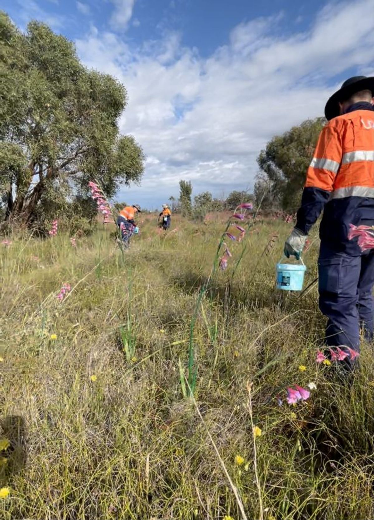 UGC Group Environmental Service