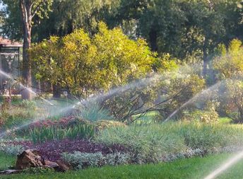 UGC Group Service image