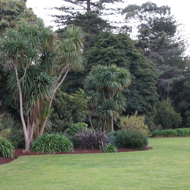 UGC Group gallery image