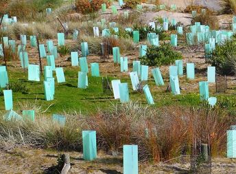 UGC Group Service image