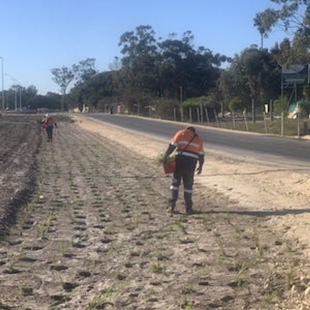 UGC Group gallery image